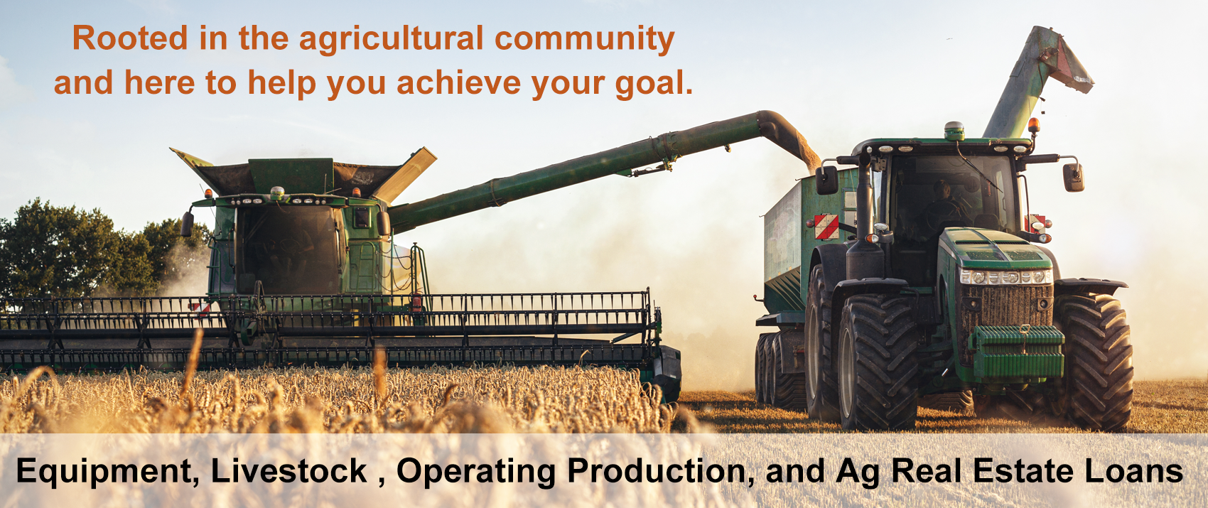 Equipment, Livestock , Operating Production, and Ag Real Estate Loans